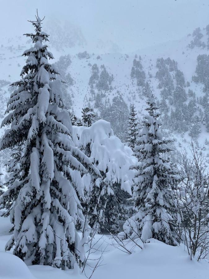 Spacious Ski-In Ski-Out Apartment 4-6 Pax, 161 Sources De Marie Arc 1950 Les Arcs  Luaran gambar